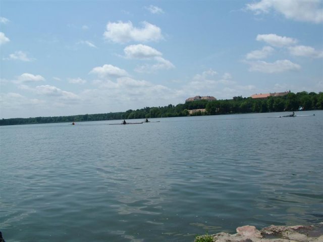 DSCF7264 (Medium)